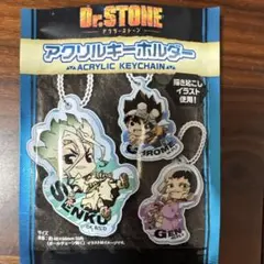 Dr.STONE アクリルキーホルダー７点セット