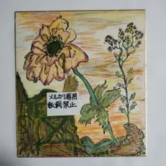 坂本直行 ふきのとう 水彩画 真作 六花亭 銘菓 貴重 北海道 - メルカリ