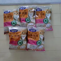 Item thumbnail for item ab36eb66-6ba1-46bb-b5da-5d9797af87d4