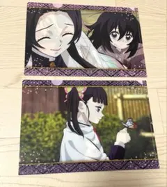 鬼滅の刃　しのぶ　カナヲ　ミニクリアファイル　A5