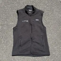 2026新作 Patagonia パタゴニア フリース ベスト 黒 - メルカリ
