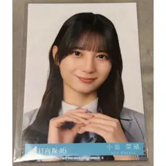 Item thumbnail for item 9e1f041c-6c98-4a26-898f-28c6ae9fa8bd