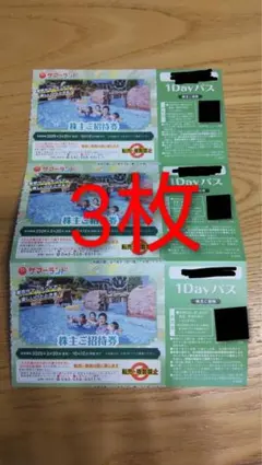 2026年最新】東京サマーランド 株主優待 3枚の人気アイテム - メルカリ