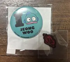 TREASURE ジョンウ　ピンバッジ・缶バッジ　セット