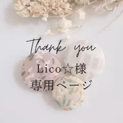 Lico☆様 リクエスト 2点 まとめ商品