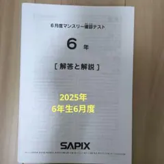 2026年最新】sapix マンスリーテスト 6年の人気アイテム - メルカリ
