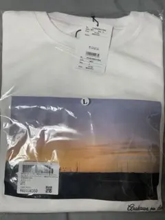 哀愁プリントTシャツ　Lサイズのサムネイル