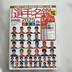 Item thumbnail for item 419b52db-7796-4328-9cb3-bb405359e632