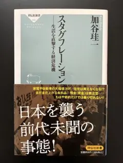 スタグフレーション 生活を直撃する経済危機 加谷珪一 祥伝社新書
