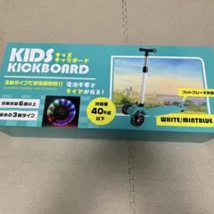 Item thumbnail for item aa8f6010-323d-4a7d-b6d9-014e5514448a