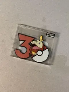 ホゲータ ポケモン30周年 中国限定 マグネット