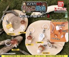 おさわり探偵 なめこ栽培キット めじるしアクセサリー2 ななめこ