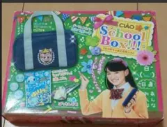 【ここみやさま専用】スクバポーチ