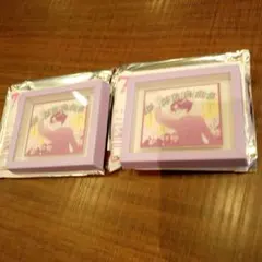 りぼん　スリコ ルナティック雑技団　マグネット 2個セット　3coins