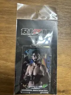 Item thumbnail for item 74c33e97-f3f6-41a0-86e8-ddd67ccfbdc6