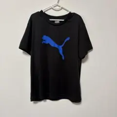 プーマ　サッカーウェア