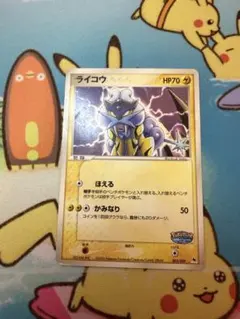 ポケモンカード ライコウ 005/009 ポケパークプレミアムファイル