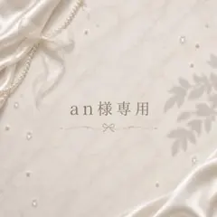 an様 リクエスト 3点 まとめ商品