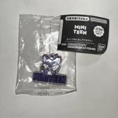 MINITEEN めじるしアクセサリー フォッドンイ