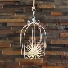 Item thumbnail for item 5458c25e-7fd4-4106-bb5f-33f76fcd6417