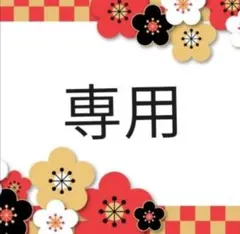 【ayuko様専用】