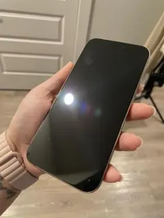 Apple iPhone 16 Pro Max、512GB ナチュラルチタニウム