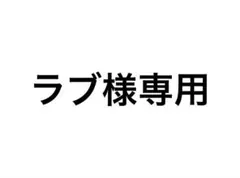 ラブ様専用ページ（ 状態等の確認の為即購入不可 ）