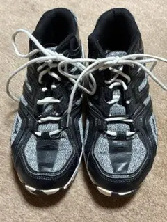 フットジョイ ゴルフシューズ 23.5cm レディース 2025年最新】avia シューズの人気アイテム - メルカリ