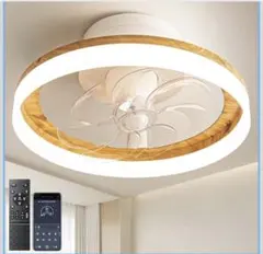 Item thumbnail for item 13cc3a48-0396-4586-954b-7a3eda78cbbd