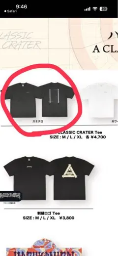 ハルカミライ A CLASSIC CRATER Tシャツ/Lサイズ