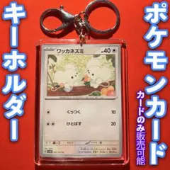 ポケモンカード キーホルダーセット ワッカネズミ クレイバースト スノーハザード
