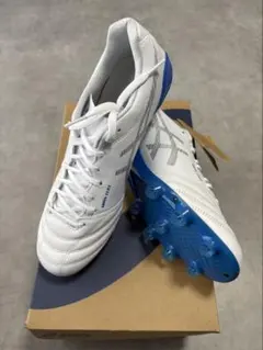 【最安値！】【新品】ASICS DS LIGHT X-FLY 5 【値下げ可能】