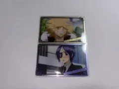 家庭教師ヒットマンREBORN! メタリックカード 2枚セット
