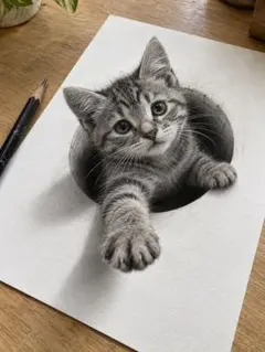 猫 デジタルアート 写真 1枚