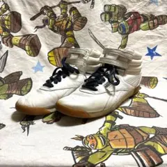Reebok FS Hi フリースタイルハイ 白 25リーボック ベルクロ