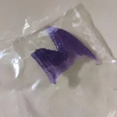 モンスターハンタースタンダードモデル ボーナスパーツ　怪異克服　オオナズチ　右翼