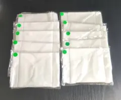 Item thumbnail for item e16b4237-c74f-4539-80f0-4cece4e67ef8