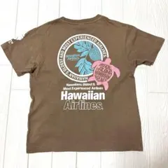 Hawaiian Airlines ブラウン Tシャツ 半袖　バックプリント　亀
