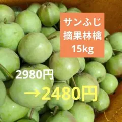 お値引き中！摘果りんご　加工用サンふじ林檎　約15キロ 送料込み 84のサムネイル