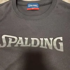 SPALDING スポルディング Tシャツ Mサイズのサムネイル