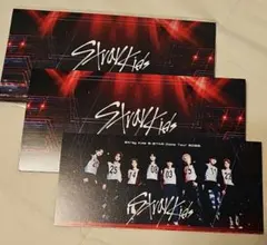未開封　Stray Kids　P-TICKET 5-star