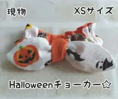 ハロウィン チョーカー XSサイズ