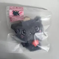 【新品未開封】公式 NCTWISH リク クリ ドール Steady MD