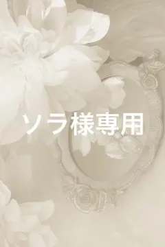 ソラ様専用