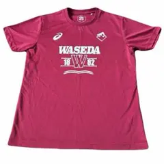 【美品】早稲田大 アシックス ASICS WASEDA Tシャツ 半袖 ドライ
