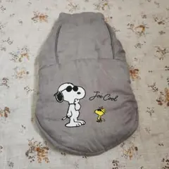 Item thumbnail for item 6210b841-0f1e-4930-8139-8717725a5c84