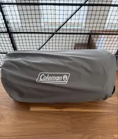 Item thumbnail for item 22961ab1-a612-4c4f-9e03-29a1424359be