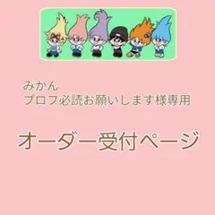 【みかん プロフ必読お願いします様専用】