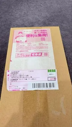 【新品未開封】シュリンク付き　ポケモンセンタートウホク スペシャルBOX