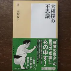 Item thumbnail for item 392119e2-3fa3-4ab1-b21e-27af6c16120d